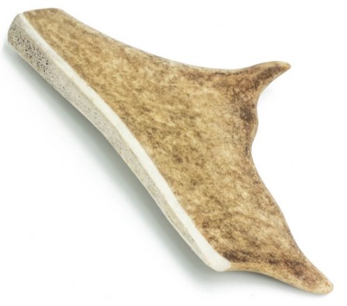 4dogs gryzak z poroża daniela m 