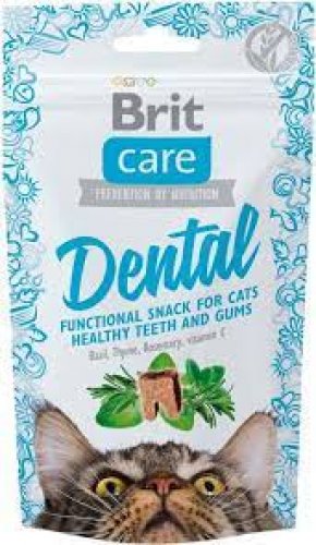 brit care cat snack dental 50g bezzbożowa przekąska dla kotów