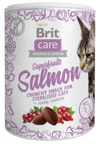 brit care cat snack superfruits salmon 100g przysmak dla psa