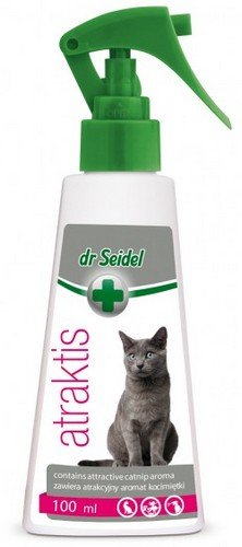 dr seidel atraktis preparat z kocimietką 100ml 