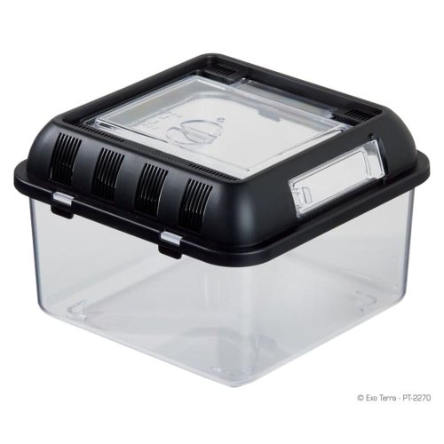 exo terra box hodowlany s 20,5x20x5x14cm [ex-2709] 