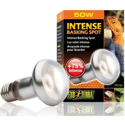 exo terra intense basking spot żarówka 50w [ex-1351] 