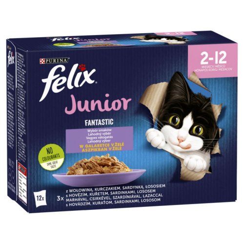 felix fantastic junior 12 x 85g karma mokra dla kota
