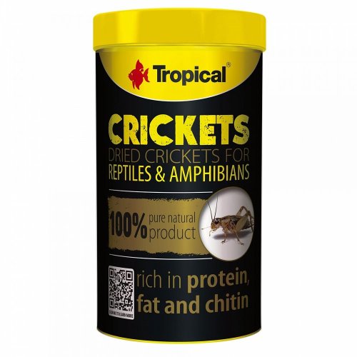 tropical crickets 250ml / 25g suszone świerszcze