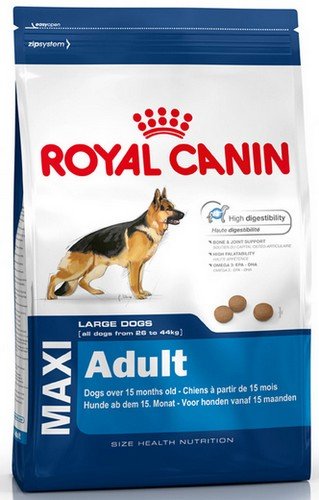 royal canin maxi adult 10kg dla dorosłych psów dużych ras