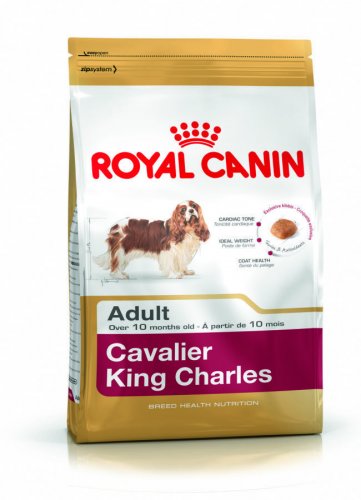 royal canin cavalier king charles 27 adult 1,5kg specjalnie dla dorosłych psów cavalier king