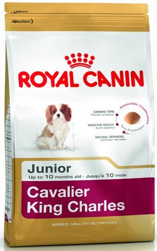 royal canin cavalier king charles junior 1,5kg dla szczeniąt rasy cavalier kc