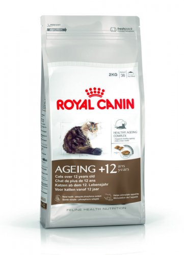 royal canin feline ageing +12 4kg dla starszych kotów