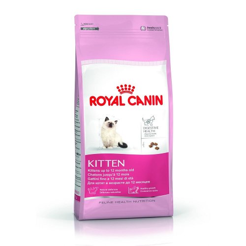 royal canin feline kitten 2kg karma dla kociąt