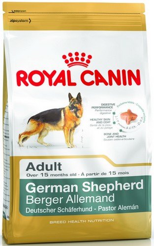 royal canin german shepherd adult 11kg karma sucha dla psa