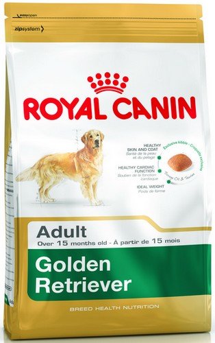 royal canin golden retriever adult 12kg karma sucha dla psa