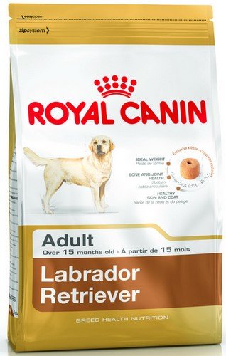 royal canin labrador retriever 30 adult 12kg karma sucha dla psa
