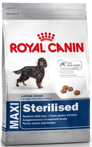 royal canin maxi sterilised 12kg sterylizowane psy dużych ras