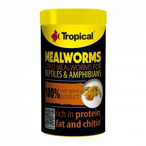 tropical meal worms 100ml / 13g suszone larwy mącznika młynarka
