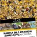 TRUX Karma dla ptaków dzikożyjących zimujących gruba 2,5kg / 5l / 13.99zł