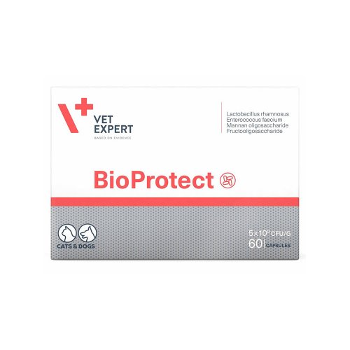 vetexpert bioprotect 60 kapsułek dla psów i kotów z zaburzeniami mikroflory przewodu pokarmowego