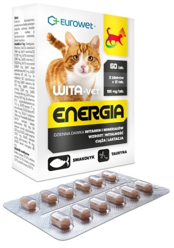 wita-vet kot energia junior + adult 60tabl witaminy i odżywki
